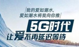 理想之途爆料视频在线观看,独家揭秘幕后真相，带你走进未知世界